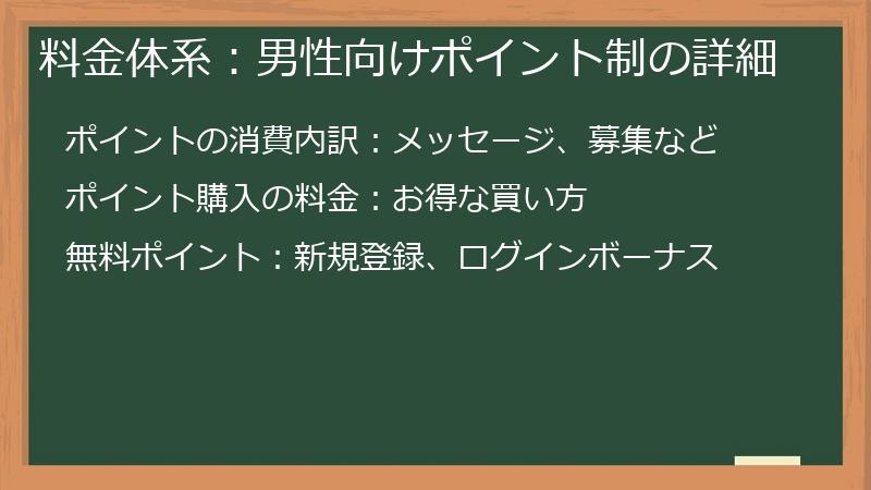 料金体系：男性向けポイント制の詳細